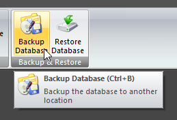 Backup Database button